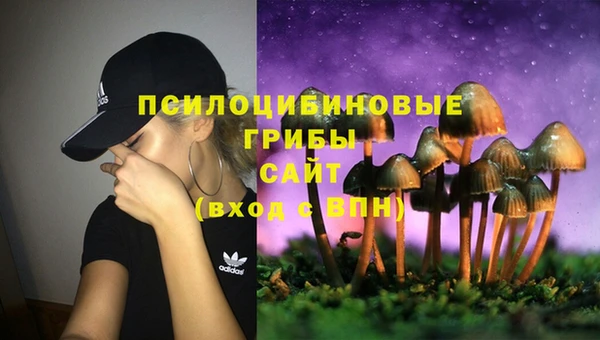 а пвп мука Алексин